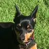 Kandi K - @kandi.simmons - TikTok