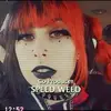 kandiwestgate - @kandiwestgate - TikTok