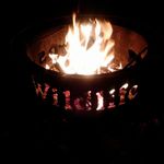 Kandi Williamson - @mandk7576 - Instagram