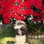 Kandi Williamson - @kandiwilliamson7717 - Instagram