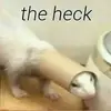 Kandie Williamson - @kandie.williamson0 - TikTok