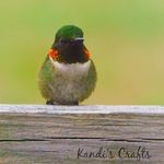 Kandis Thomas - @what_kandi_captures - Instagram