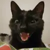 Cay Cay - @kandy.mann - TikTok