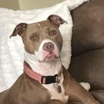 Kandy Parker - @kandy0313 - Instagram