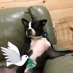 Kandy Thomas - @kandy.thomas.7927 - Instagram