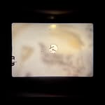 Kane Adams - @throughgroundglass - Instagram