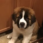Kane Adamski - @kane_adamski_184 - Instagram