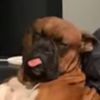 Kane Barber - @kane.barber - TikTok