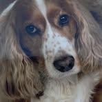 Kane Barker - Facebook