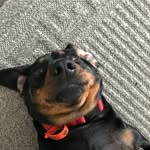 Kane barker - @kbarker106 - Instagram
