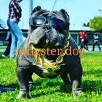 Kane Bradley - @kanebradley1224 - Instagram
