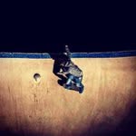 Kane Cohen - @webhastat - Instagram