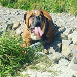 Kane Cox - @archie_cox555 - Instagram