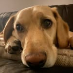 Kane Daye - @kane.day.3344 - Instagram