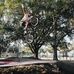 Kane Franklin - Facebook
