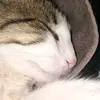 Hai - @kanelangmazarap - TikTok