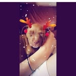 kane_langson - @kane_langson2018 - Instagram