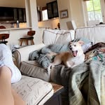 Kane Langston - @langkane - Instagram