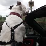 Kane Langston - @kane_langston750 - Instagram