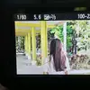 yet here you are - @kanelang_ - TikTok