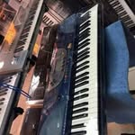 leonardo kane - @kane.leonardo - Instagram