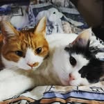 Kaneli & Raimo - @kaneli_ja_raimo - Instagram