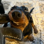Kaneli ”Peppe” Aalto - @kanelipeppe - Instagram