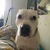 Kane Sherlock - Facebook