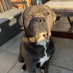 Kane Singh Samra - @kanesinghsamra - Instagram