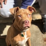 Kane Small-hannon Reid - @kane_loviepittie - Instagram