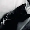 KaneSmall12 - @kanesmall12 - TikTok