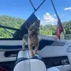 Kane Steinke - @kane.steinke - TikTok