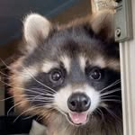 @kane.stevens.05 - Instagram
