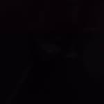 Steven King - @kane.stevens.92 - Instagram
