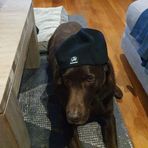 Kane Stevenson - Facebook