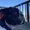 kanestevenson42 - @kanestevenson42 - TikTok