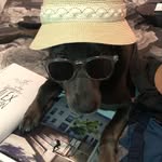 @kanestone_ - Instagram