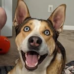 Kane Strickland - @misterkane_ - Instagram