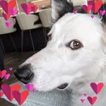 Kane Summers - @summersk59 - Instagram
