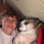 Kane Summers - @kane_summers - Instagram
