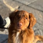 Kane - @toller.kane - Instagram