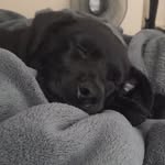 Kane - @kane.torres - Instagram