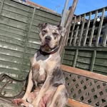 Kane Townsend - @kanetownsend21 - Instagram