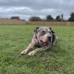 Kane Townsend - Facebook