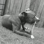 Kane Tucker - Facebook
