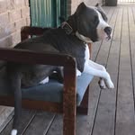 kane tucker - @kanet67 - Instagram