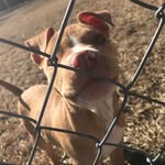Kane Tucker - @lilbaby_kane - Instagram