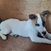 kanevasquez8 - @kanevasquez8 - TikTok