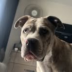 Kane Vincent - Facebook
