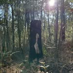 Kane Walsh - @ttoomanybees - Instagram